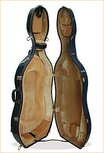 Eastman CL18 cello case
