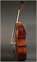 English double bass side view
