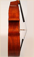 Grancino upright double bass side