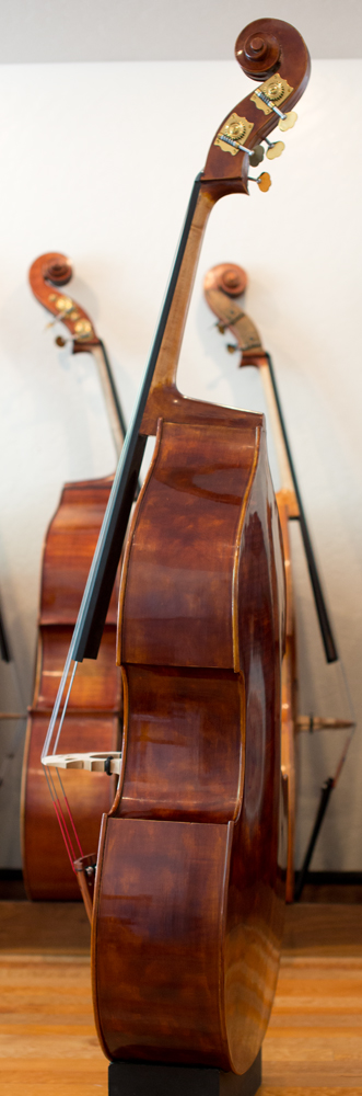 carved upright bass sideview