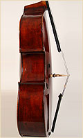 Upright German double bass side 