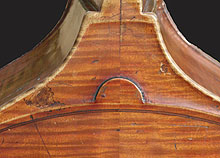 French upright bass, showing violin/cello button on back