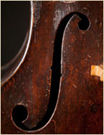 Ferdinando Alberti Bass f-hole