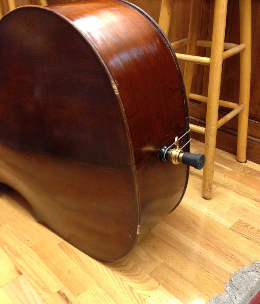 Bass With Broken Edges