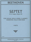 Upright Double Bass Chamber Music