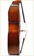 Schoenbach upright bass side