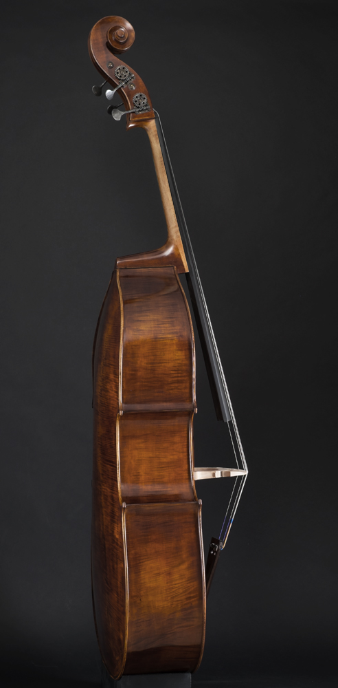 Domenico Busan Bass