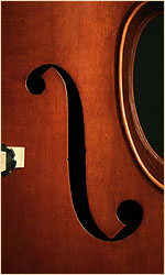 Emile Gillet upright bass, f-holes