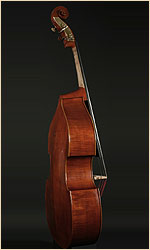 Emile Gillet upright bass, side