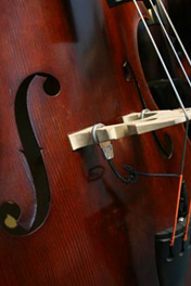 David Gage Lifeline Upright Bass Pickup