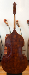 Carved bass back