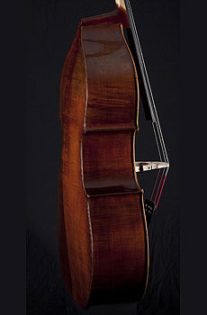 Thompson Hybrid Upright Bass, oil varnish