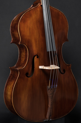 Matteo Gofriller bass