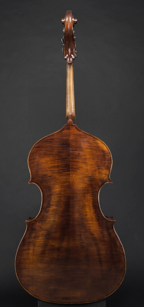 Matteo Gofriller bass
