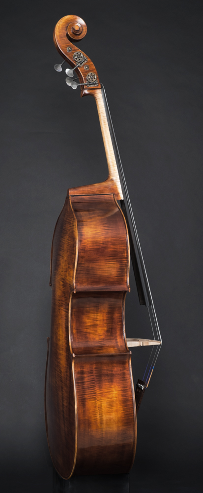 Matteo Gofriller bass