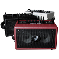 PJ Cub Pro Combo Bass Amp Colors