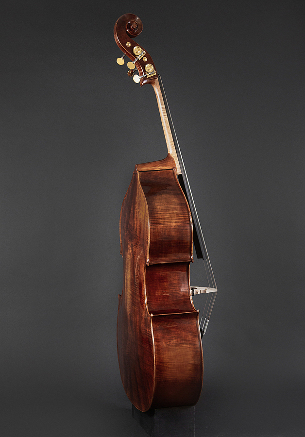 Rogeri bass side view