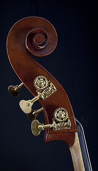Thompson Plywood Upright Bass,Gamba model