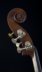 Thompson Removable Neck Bass