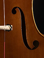 Wan-Bernadel upright bass, f-hole