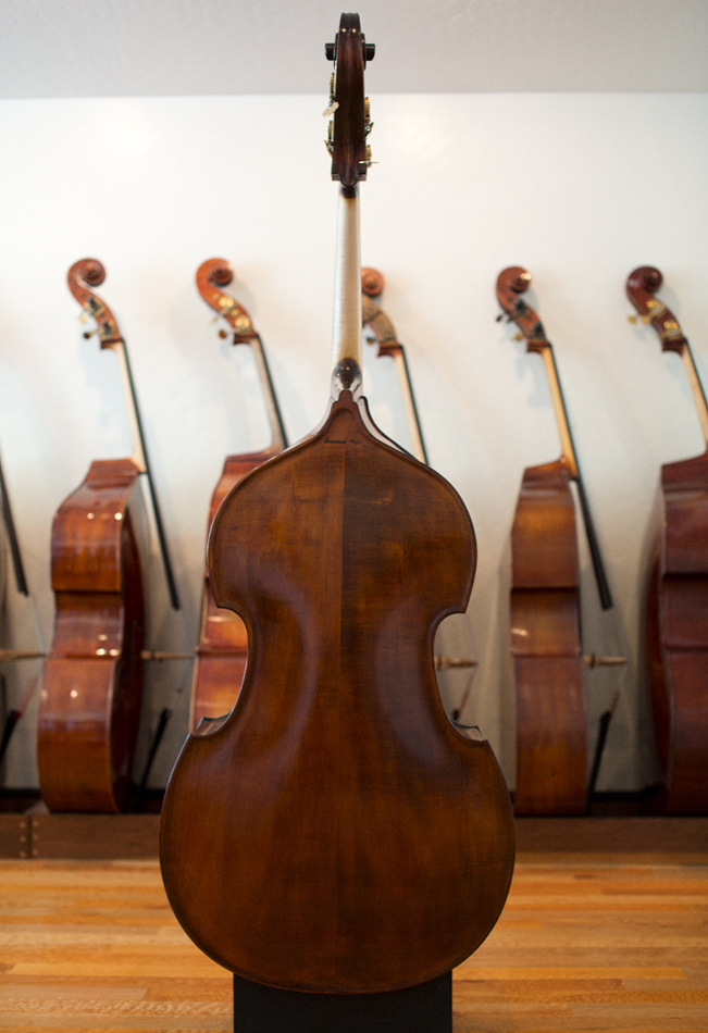 Wilfer Bass Back